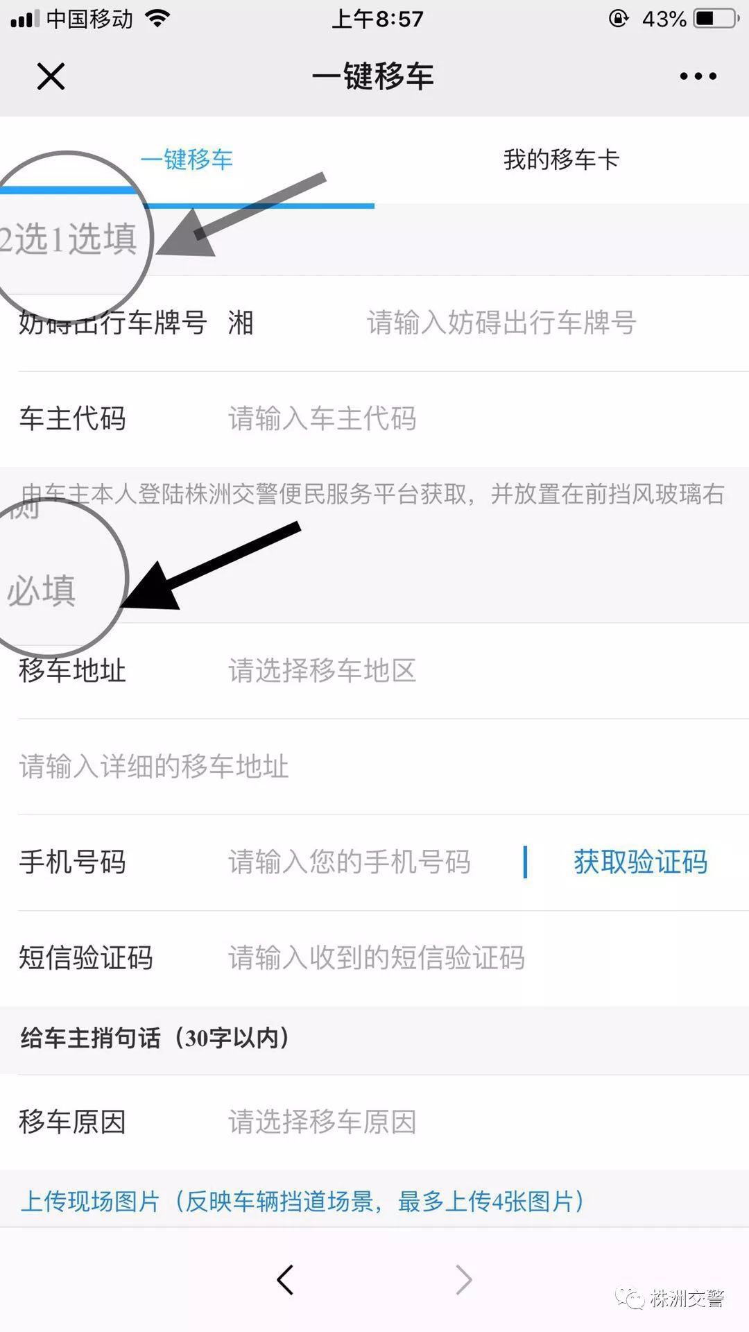 ŲǴ绰