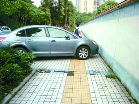 Ų绰ѯ