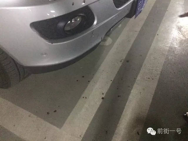 ôʹŲ