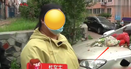 ɽŲ绰