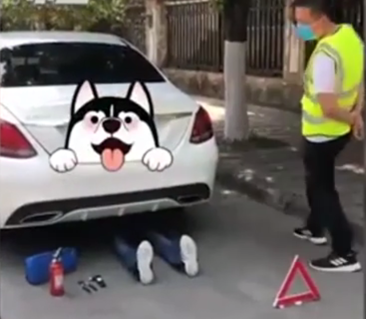 Ų绰Ƕ